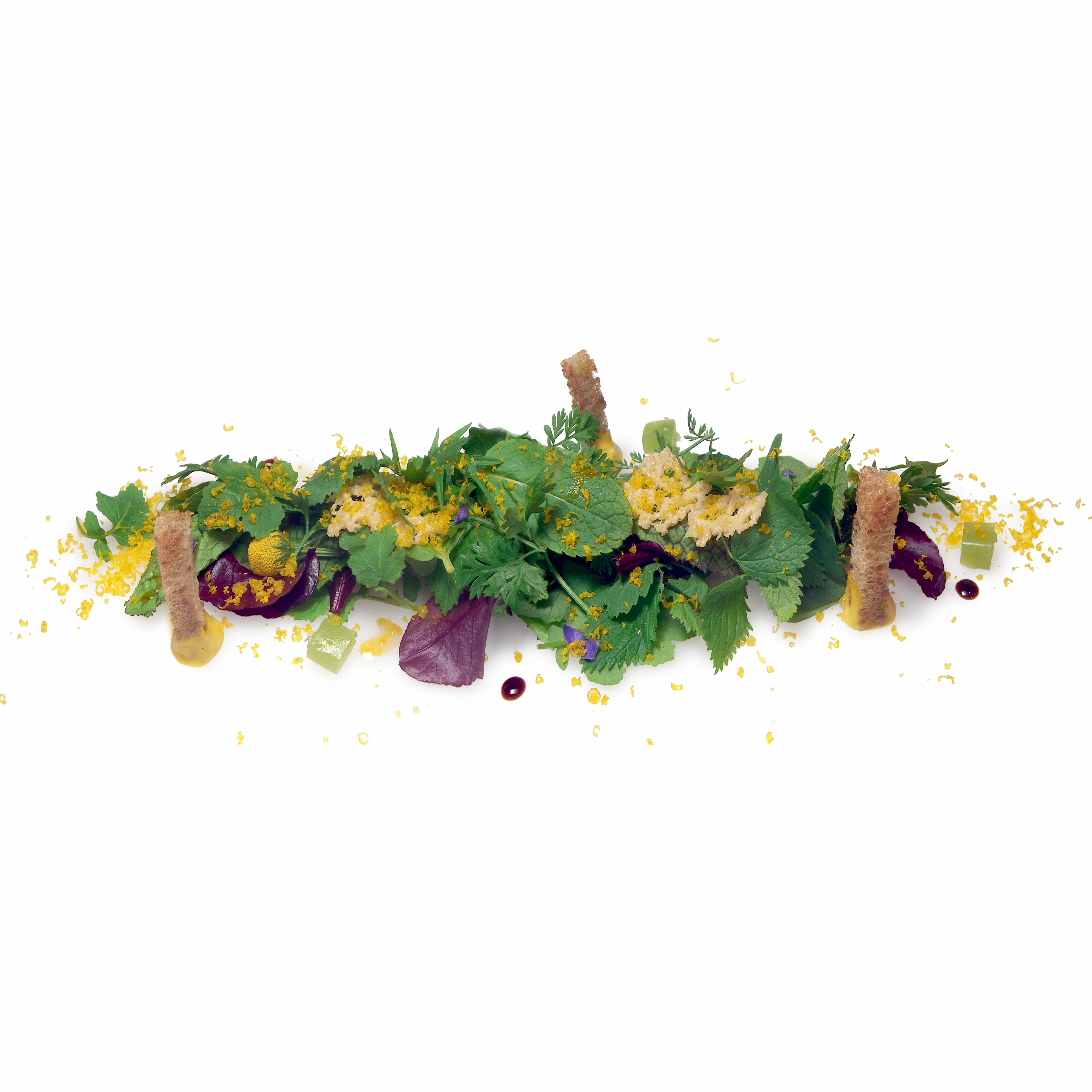 § Reinterpretati Bottura - La parte aromatica di una Ceasar Salad in Emilia